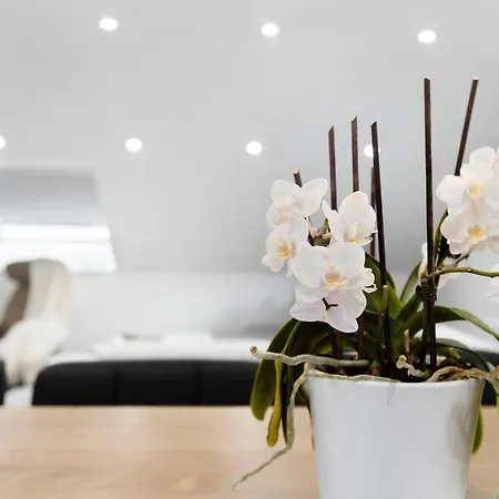 Blackforest * Villingen-Schwenningen