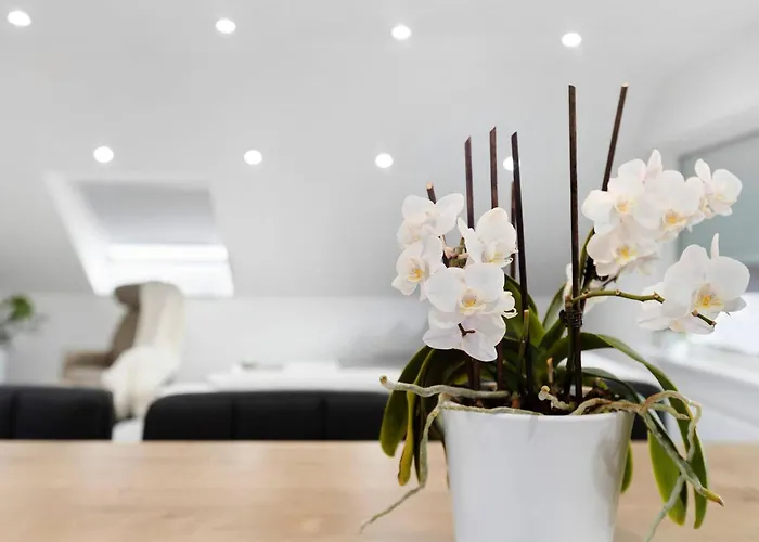 Blackforest * Villingen-Schwenningen